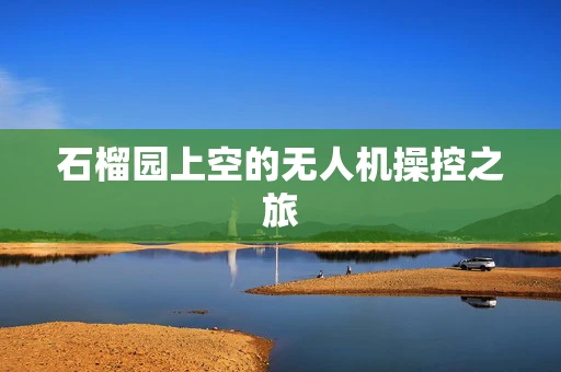 石榴园上空的无人机操控之旅