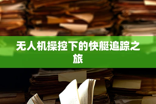 无人机操控下的快艇追踪之旅