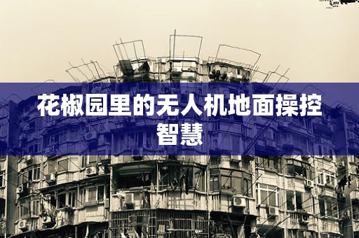 花椒园里的无人机地面操控智慧