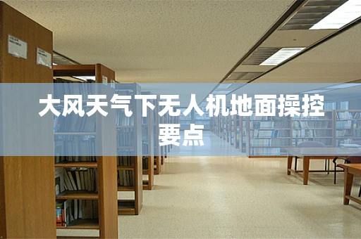 大风天气下无人机地面操控要点