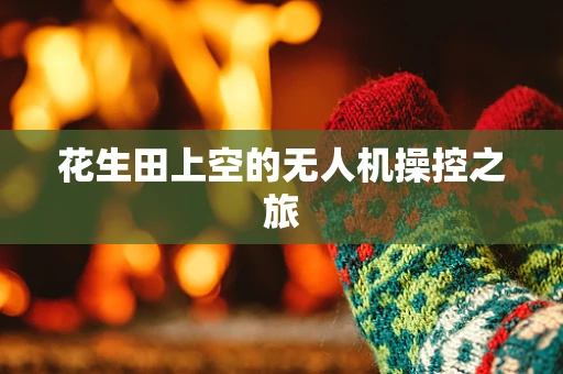 花生田上空的无人机操控之旅