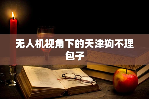 无人机视角下的天津狗不理包子
