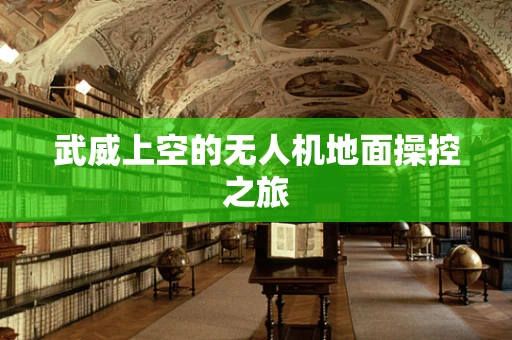 武威上空的无人机地面操控之旅
