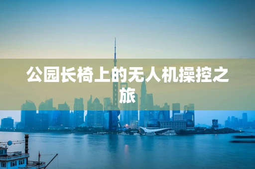 公园长椅上的无人机操控之旅