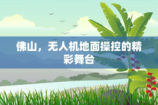 佛山，无人机地面操控的精彩舞台