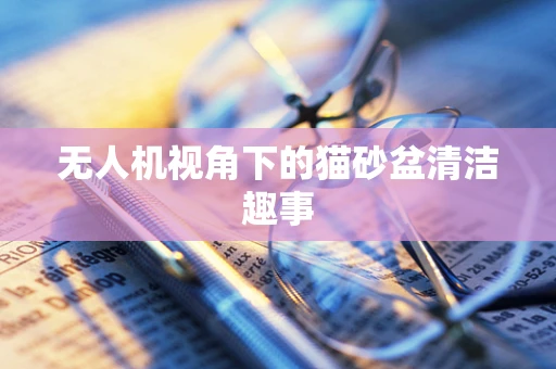无人机视角下的猫砂盆清洁趣事