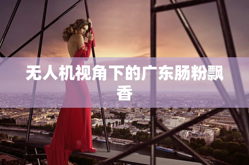 无人机视角下的广东肠粉飘香