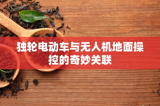独轮电动车与无人机地面操控的奇妙关联